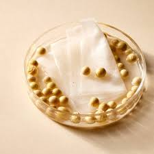 🌱 Mixsoon “Bean Toner Pad” – 70 almohadillas (280 ml)